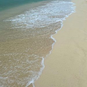 Meet your Posher, Tianna